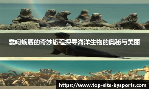 kaiyun中国官方网站